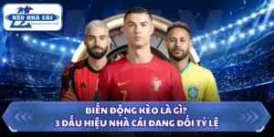 Biến Động Kèo Là Gì? 3 Dấu Hiệu Nhà Cái Đang Đổi Tỷ Lệ 15 Biến động kèo là gì