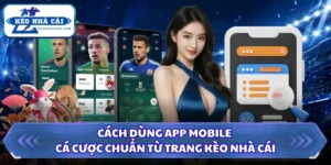 Cách dùng app mobile