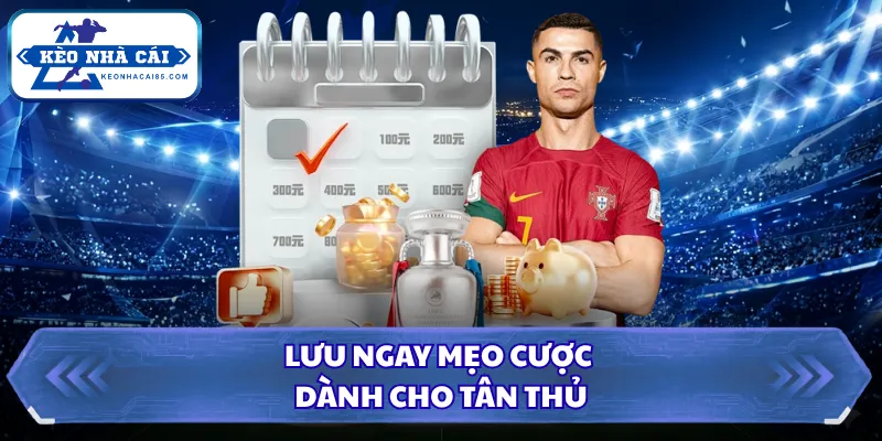 Kèo Thẻ Phạt Là Gì? Bí Kíp Từ A Đến Z Tại Kèo Nhà Cái 2026 2 Lưu ngay mẹo cược dành cho tân thủ
